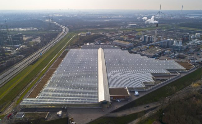 Größte solar-thermische Trocknungsanlage weltweit in Bottrop (DE)