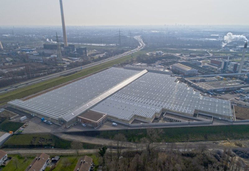 chargenweises Verfahren