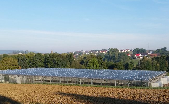 Solare Trocknungsanlage mit Speichertrockner-Konzept Obersontheim